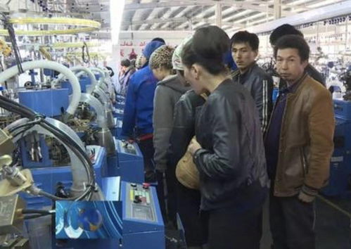 為何中介介紹的工作都是進(jìn)廠 工廠從不參與招人,原因被曝光