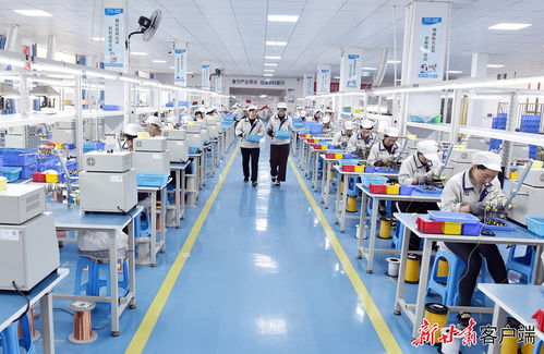 康樂東西協作鄉村就業工廠節后復工生產忙，職業中介活動助力就業