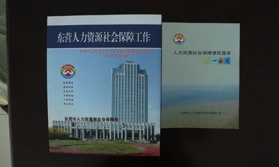 東營(yíng)市人力資源和社會(huì)保障局在社會(huì)經(jīng)濟(jì)咨詢(xún)服務(wù)中的作用與探索